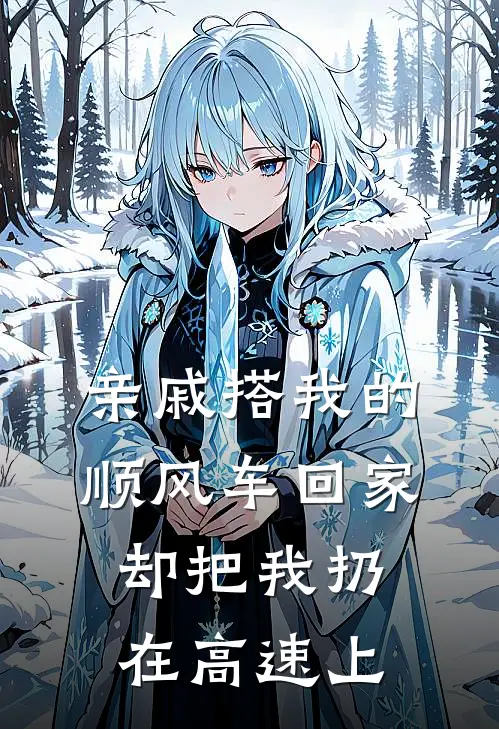 亲戚搭我的顺风车回家，却把我扔在高速上