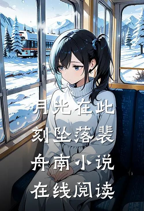 月光在此刻坠落裴舟南小说在线阅读