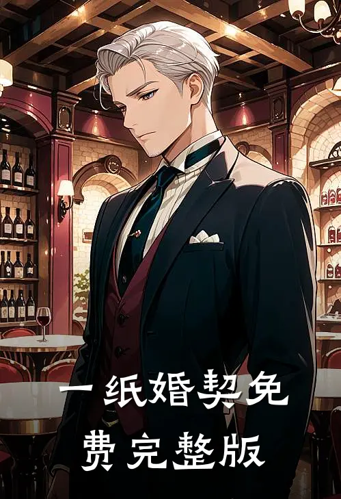 一纸婚契免费完整版